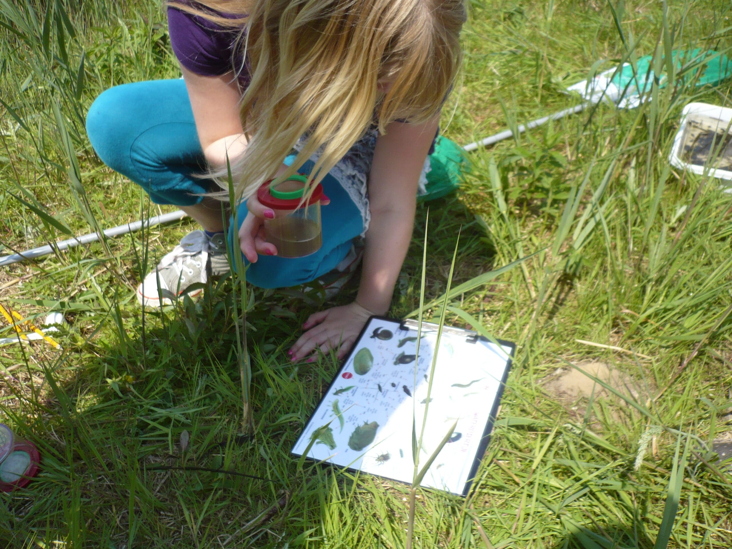 De natuur ontdekken in Dronten